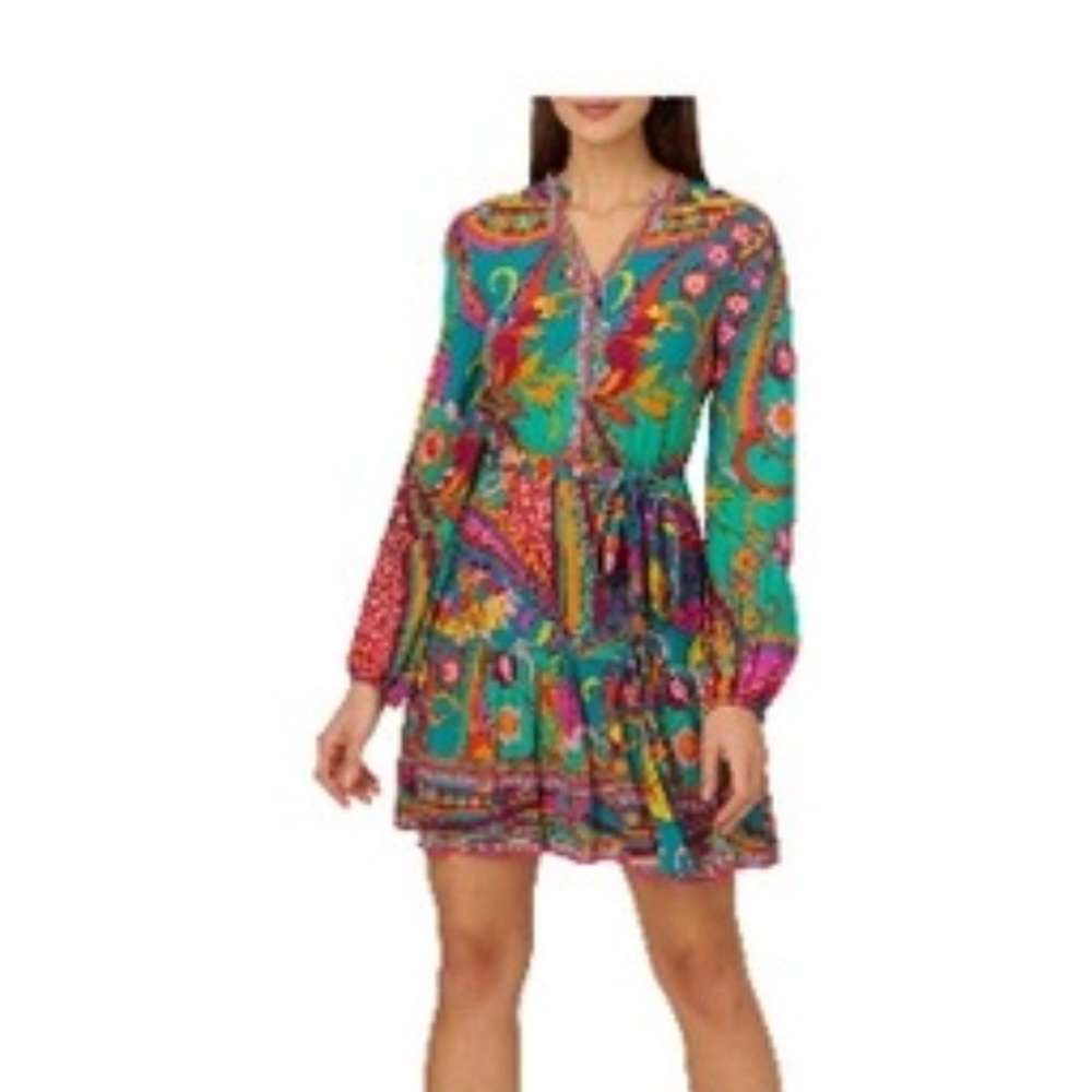Adrianna Papell Colorful Long Sleeve Dress